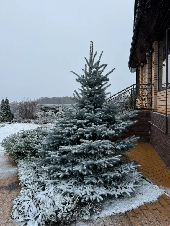 Прекрасный новый дом на горнолыжном курорте