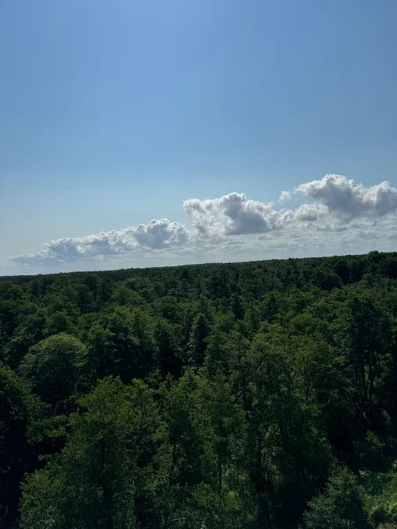 Квартира комфорт класса рядом с морем