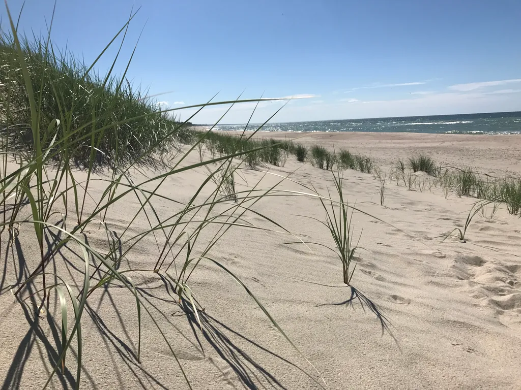 LakeCity Апартаменты у озера