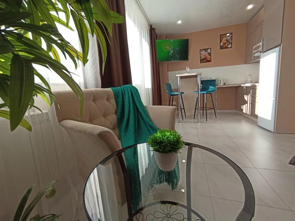 Видовая студия в центре города сети Все в гости