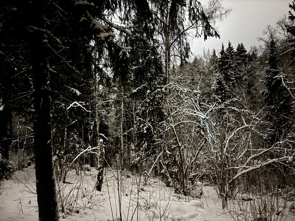 Домик для отдыха в лесу