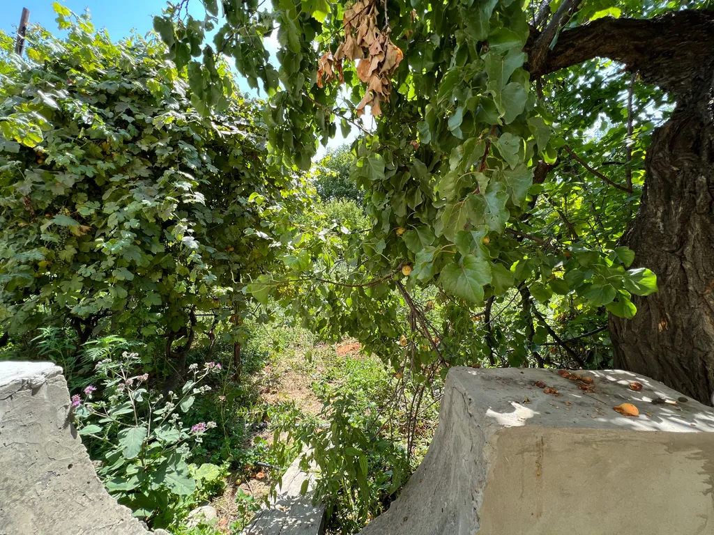 Дом в живописных горах