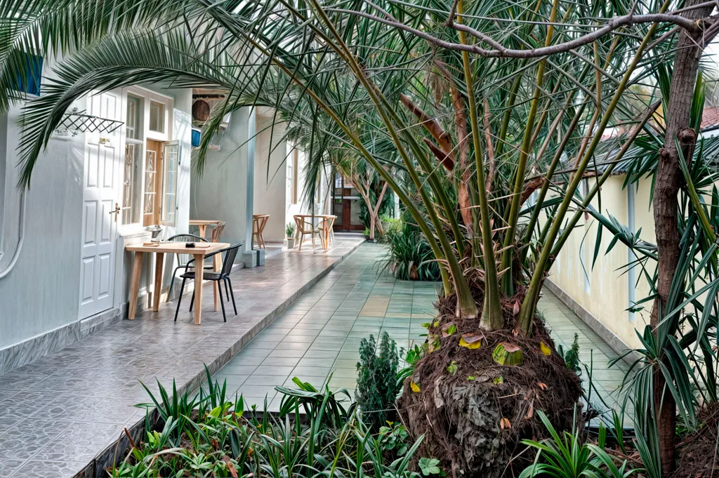 Квартира Четырехместный | Улучшенный | терраса — аренда посуточно в Адлер