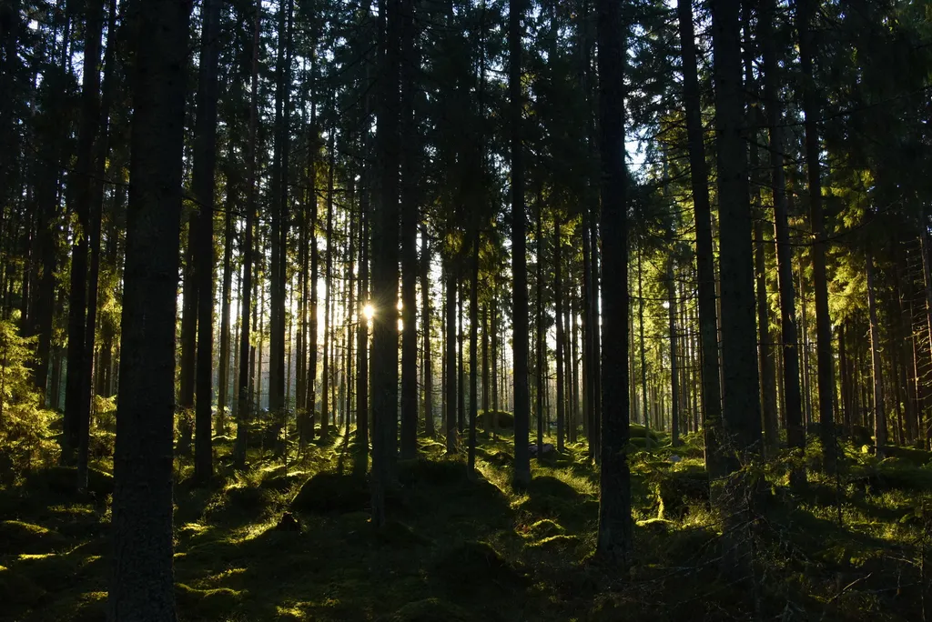 Коттедж Домик Коиви в Приморске — Приморск