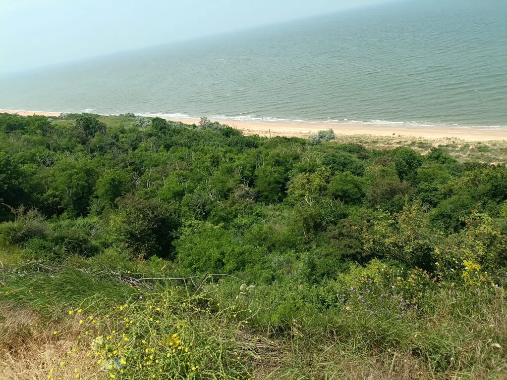 Квартира Квартира Солнечная студия на Азовском море — Кучугуры