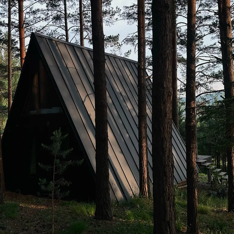 Дом с купелью и камином