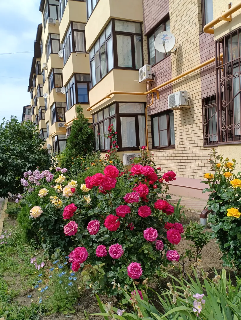 Фасад дома