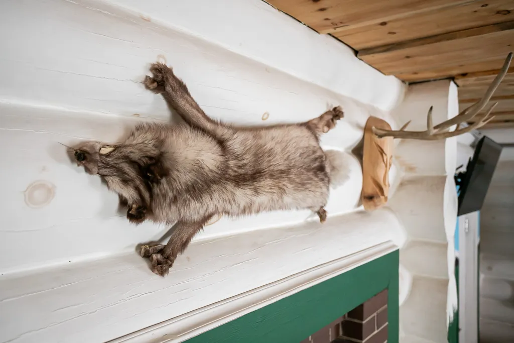 Коттедж Уютный дом Камчатка из кедра с русской баней в Кикино на Веле — Кикино