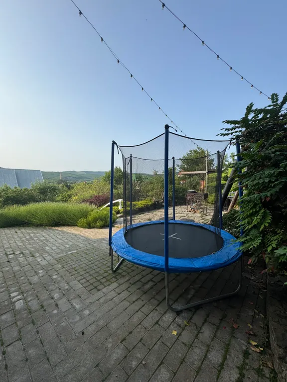 Эко домик лесника