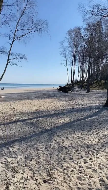 Квартира Квартира Апартамент у моря — Зеленоградск