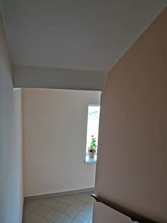 Солнечный Кот