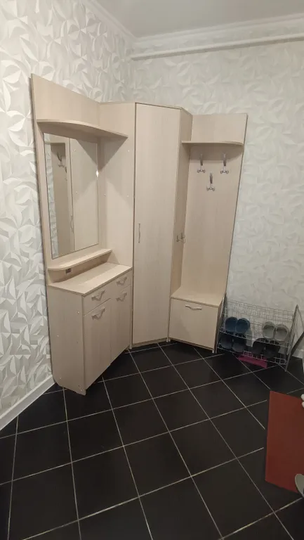 Однушка в центре