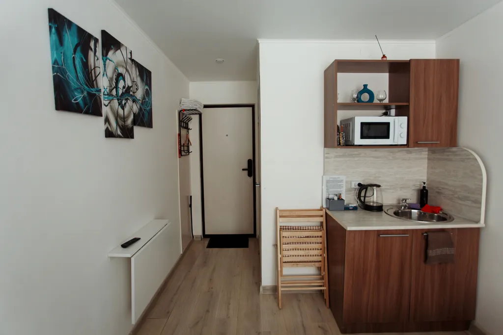 Уютные апартаменты в центре города с видом на парк