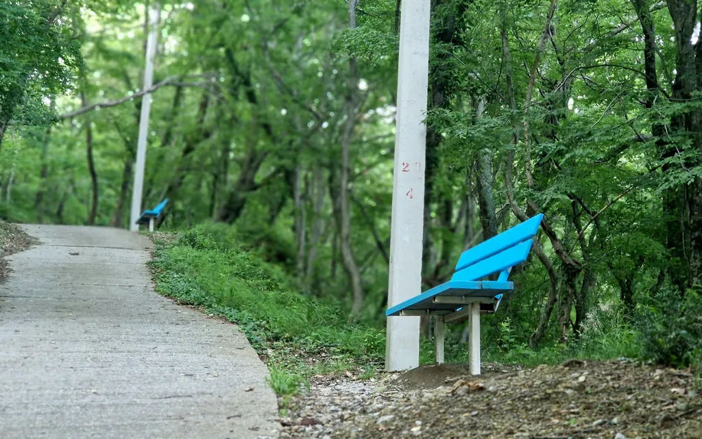 Комната в доме в лесу у моря