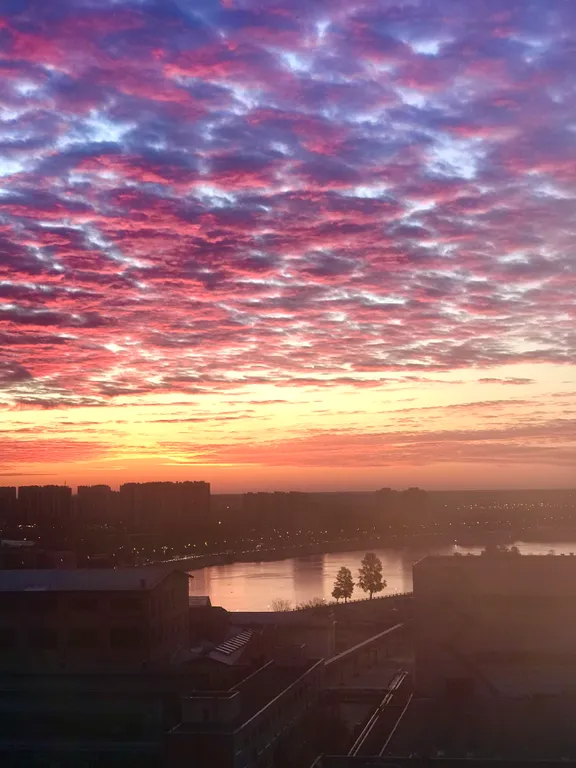 Квартира 3-комнатная Квартира — Санкт-Петербург