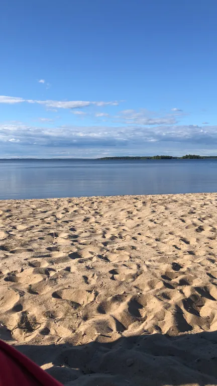 Карельская Дача Уютное шале с камином в сосновом бору, берег Сямозера