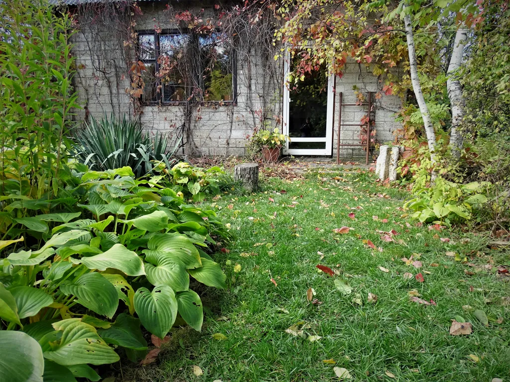 Дом под гнездом