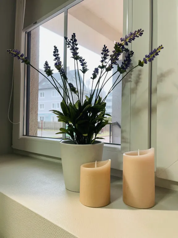 Квартира Апартаменты Релакс с террасой у моря — Зеленоградск