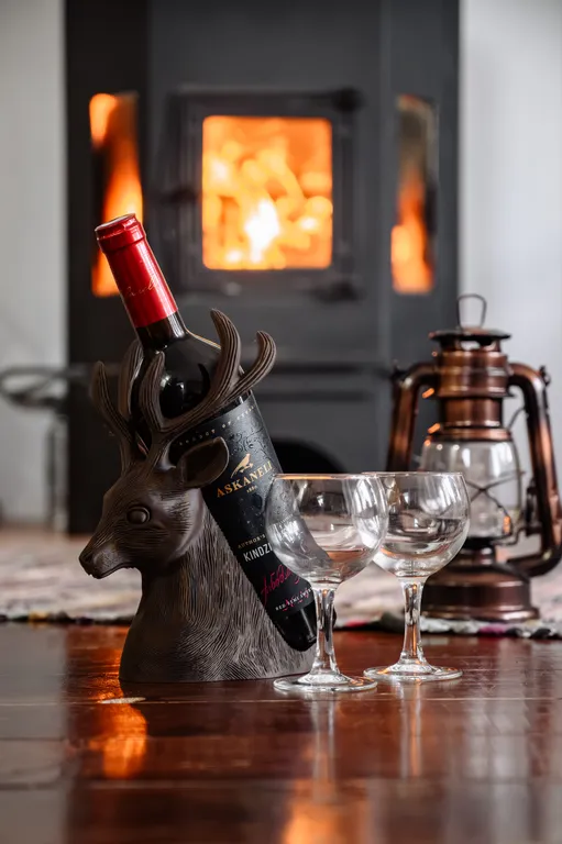 Загородный дом в лесу на Финском заливе