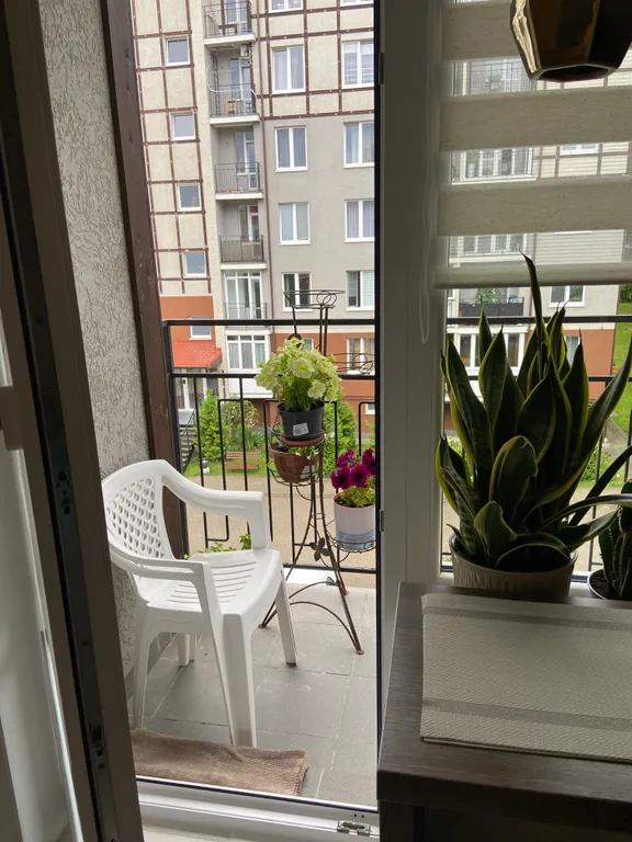 Квартира Уютная квартира — Светлогорск