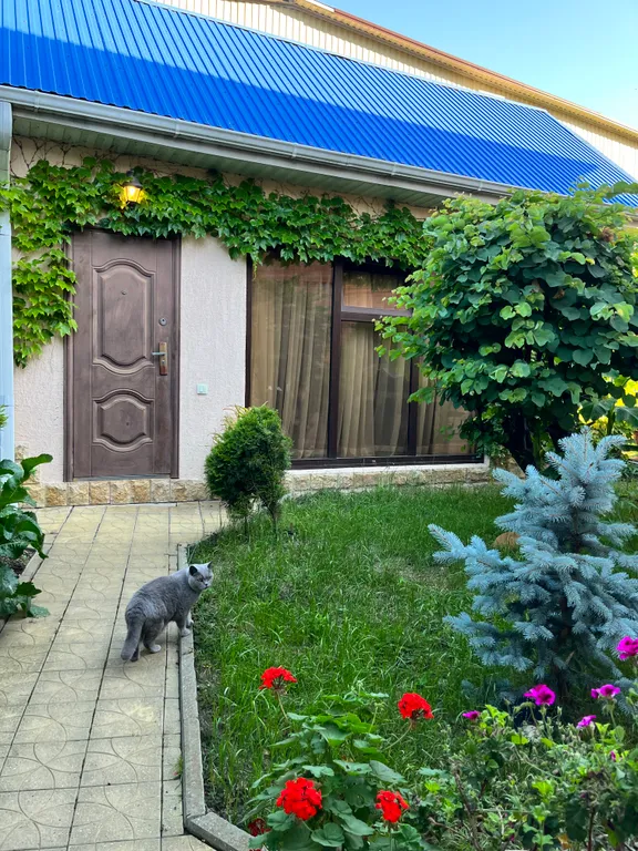 Номер в отдельном домике у бассейна