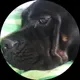 Любовь