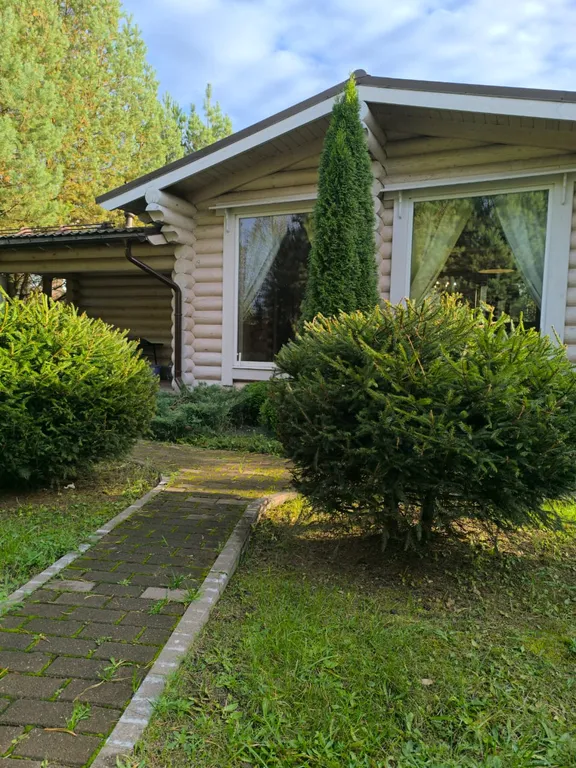 Дом рядом с лесом