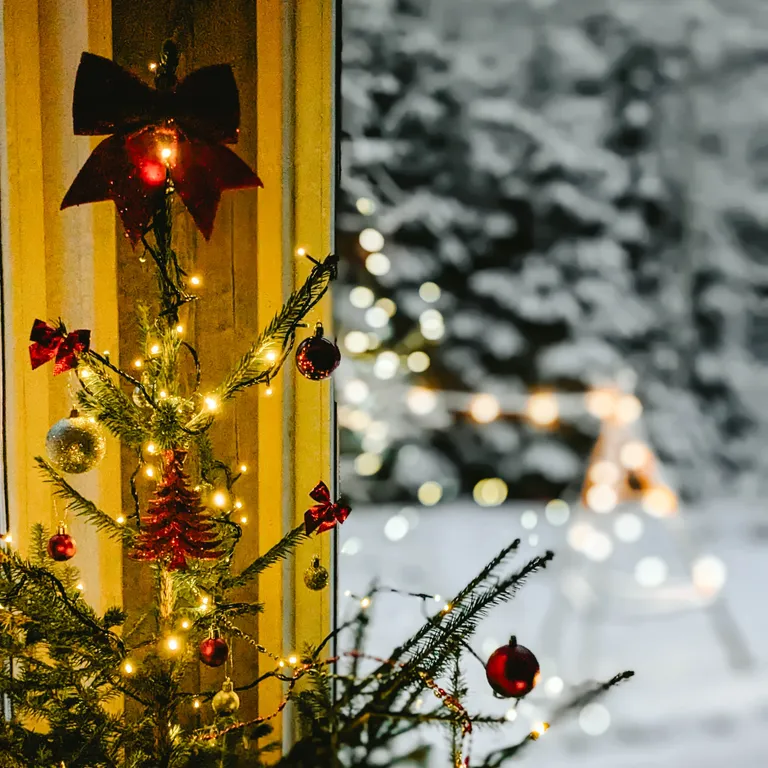 Уютный дом в лесу