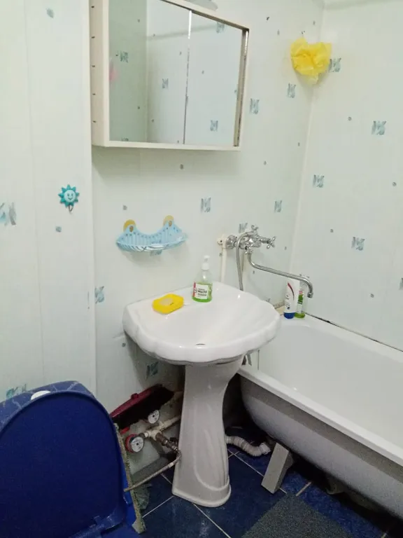 1-комнатная квартира с кухней