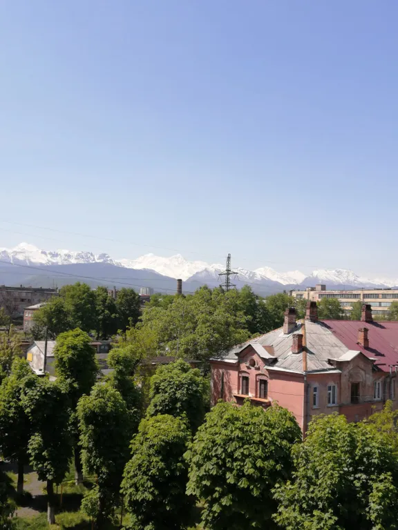 Апартамент с видом на горы