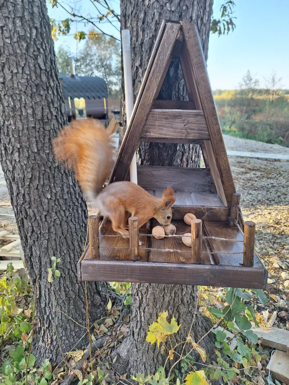 Уютный дом в лесу у озера вблизи от города