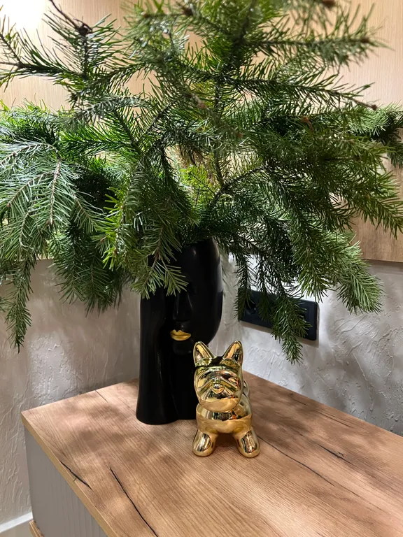 Дом премиум класса, вдалеке от суеты, в уединенном месте