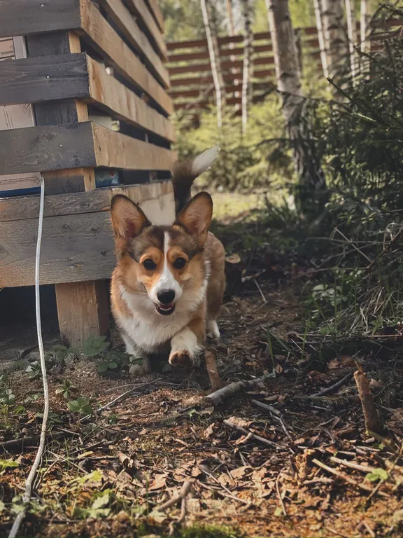 Коттедж Зеркальный дом с 2 спальнями, беседкой, собственной баней и купелью — Семеновское