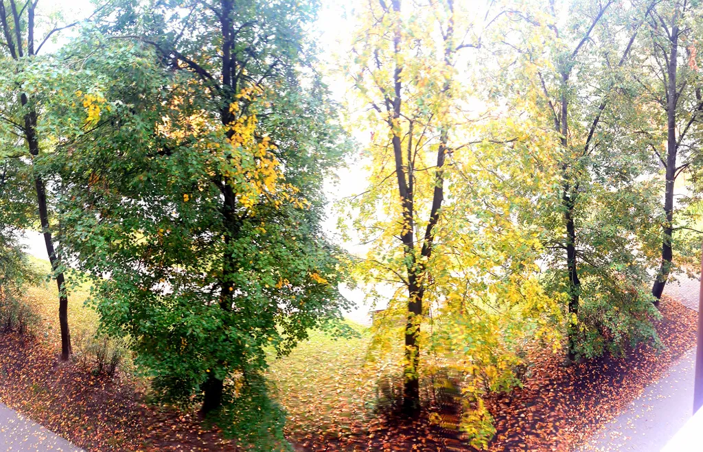 Уютная квартира возле брестской крепости