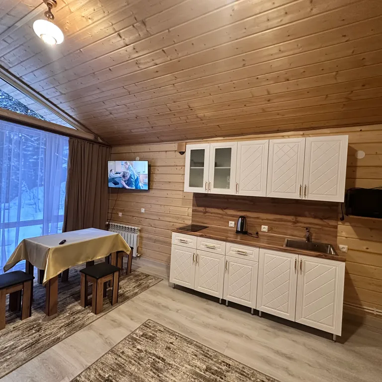 Домик в лесу с панорамными окнами