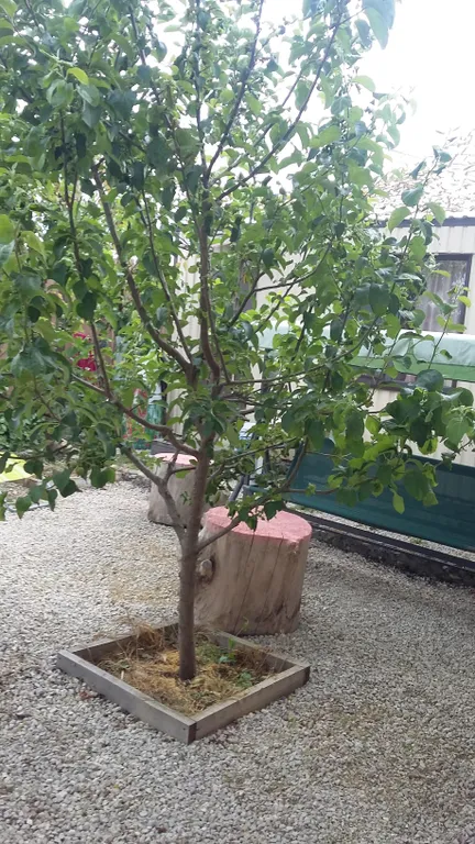 Коттедж 2-комнатный Дом — Витино