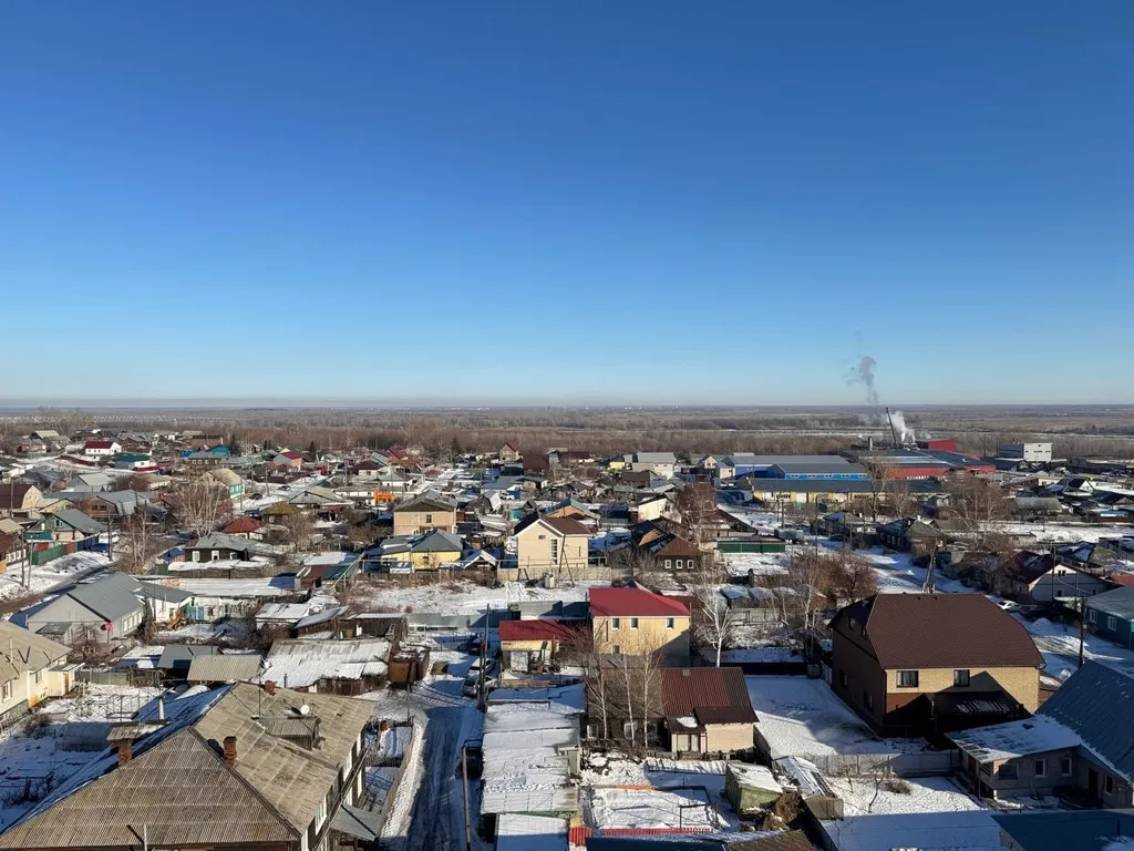 Студуя в центре города