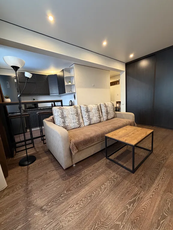 Уютная однокомнатная квартира-студия