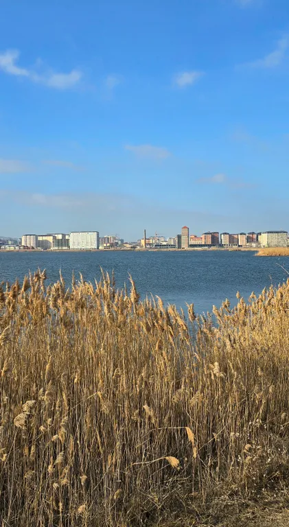 Квартира Просторная квартира со свежим ремонтом удобная локация — Махачкала