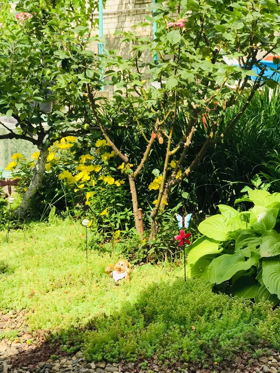 3х местный номер эконом