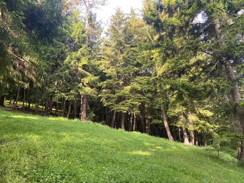 Мансарда с верандой