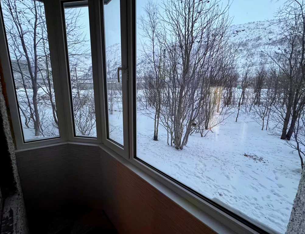 Фисташка в Хибинах