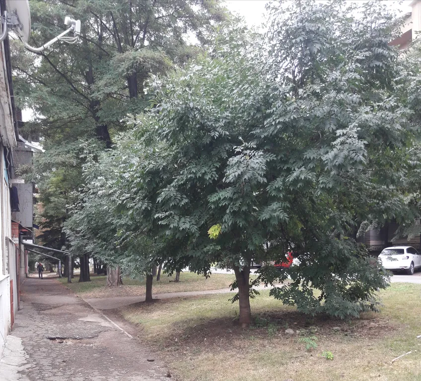 Уютная квартира в центре в курортной зоне