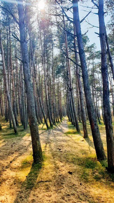 Волшебный Домик у моря