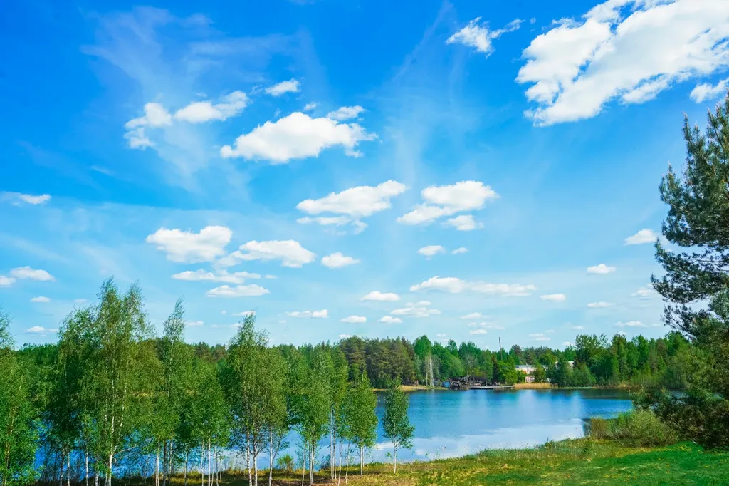 Дом на холме