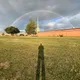 Кирилл