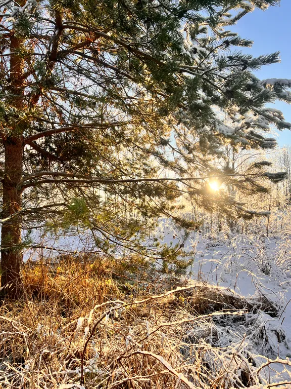 Коттедж Загородный дом со всеми удобствами рядом с речкой и озером — Рябово