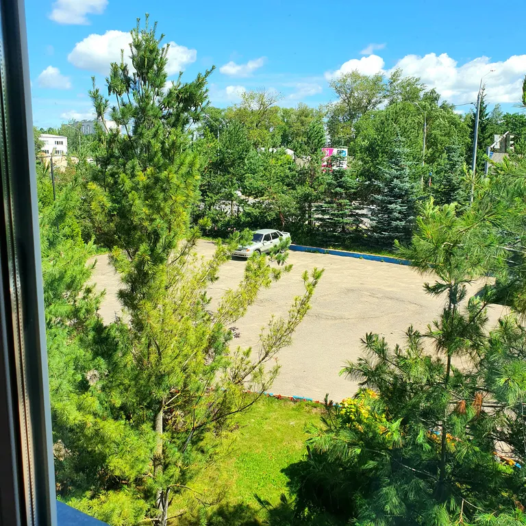 Одноместный стандарт "Африка"