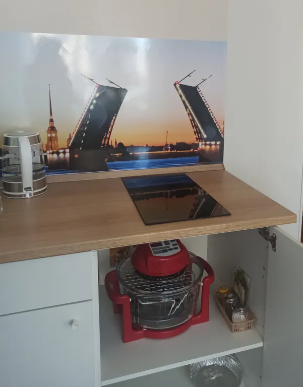 Студия с видом на Неву