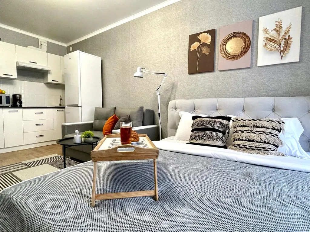 Уютные апартаменты Гармония в центре города